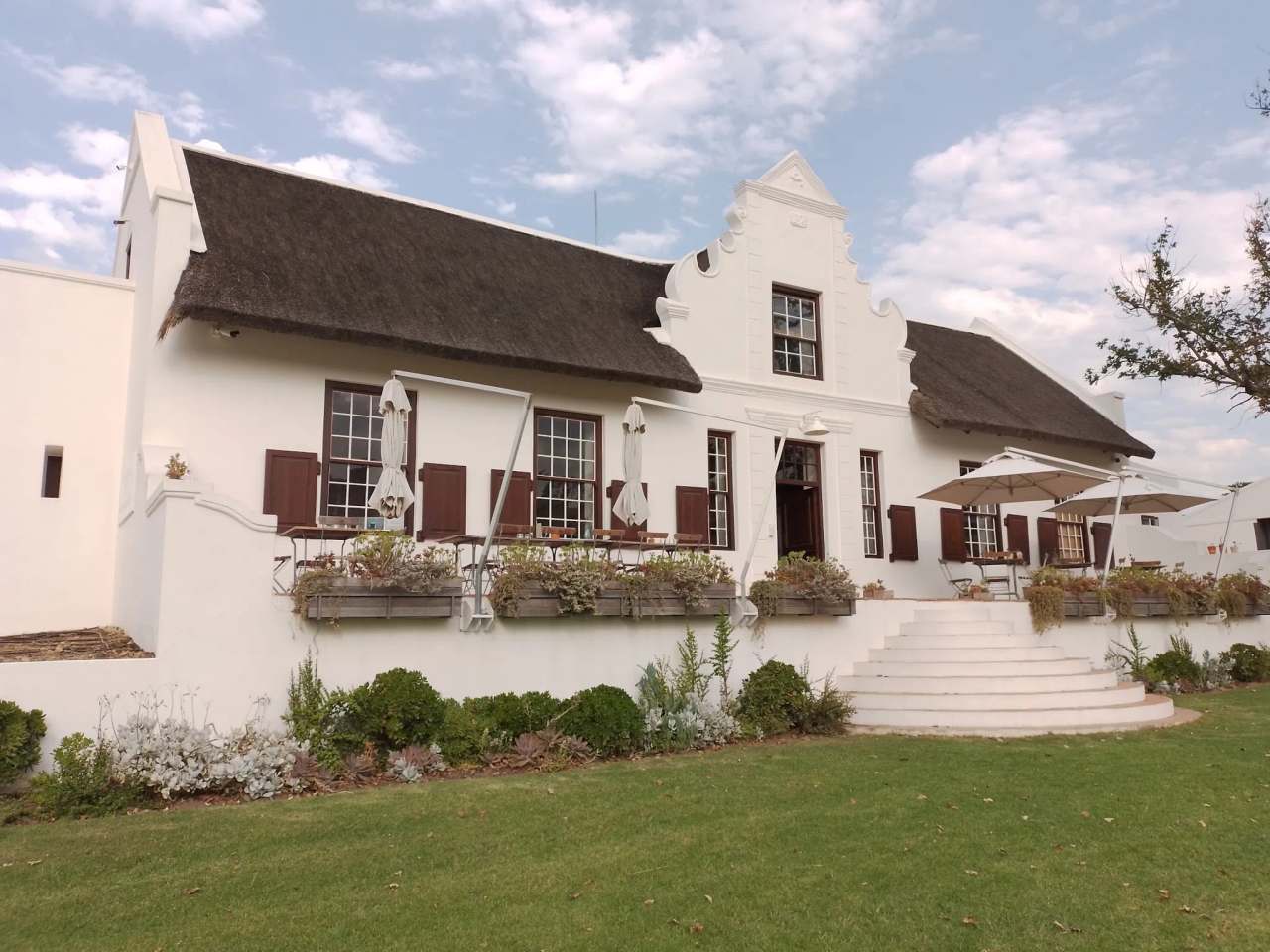 Lievland Vineyards — photo 1