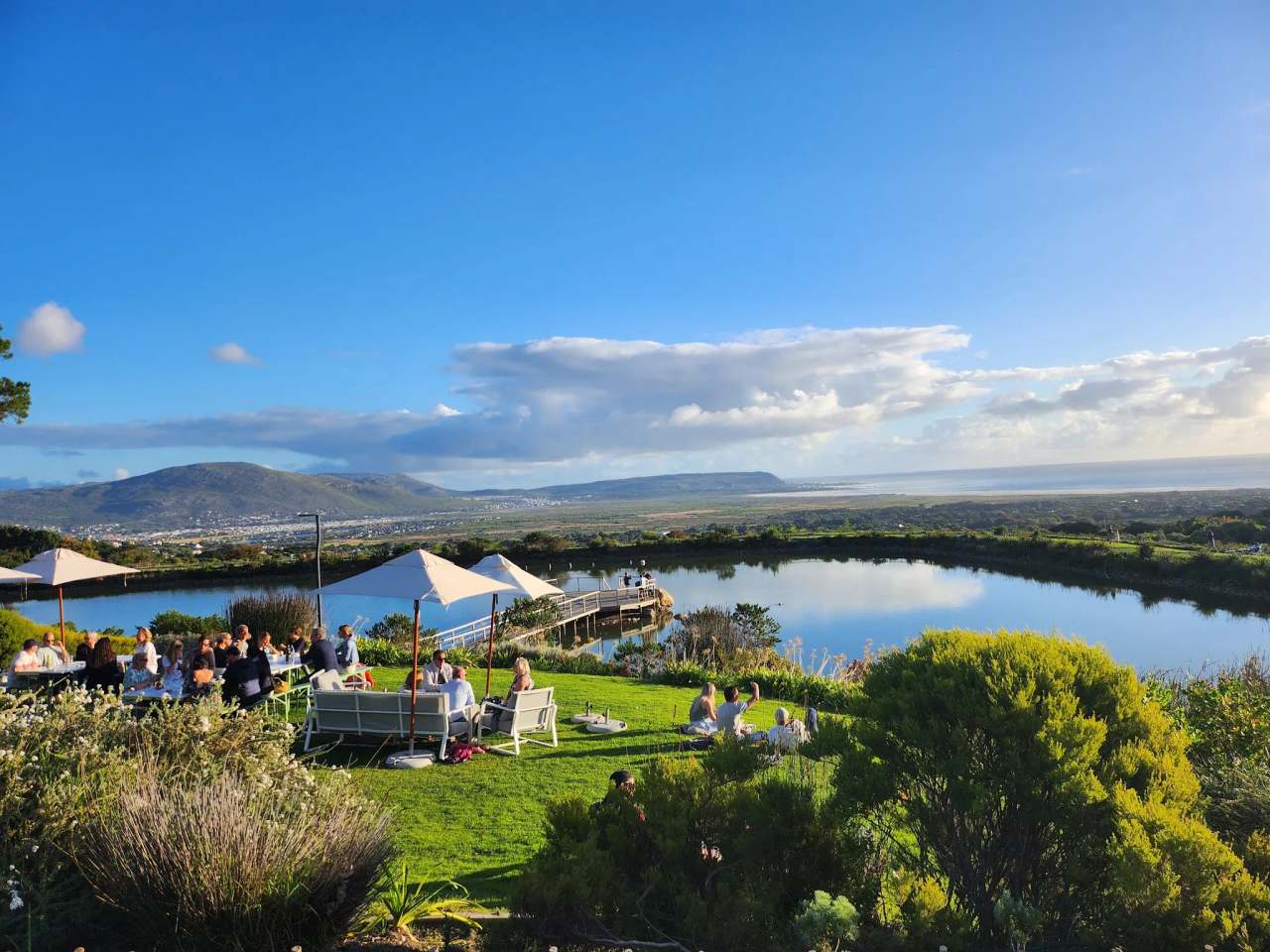 Cape Point Vineyards — photo 3