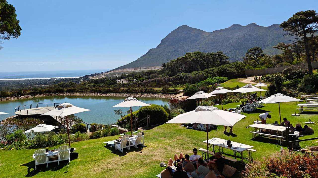 Cape Point Vineyards — photo 1