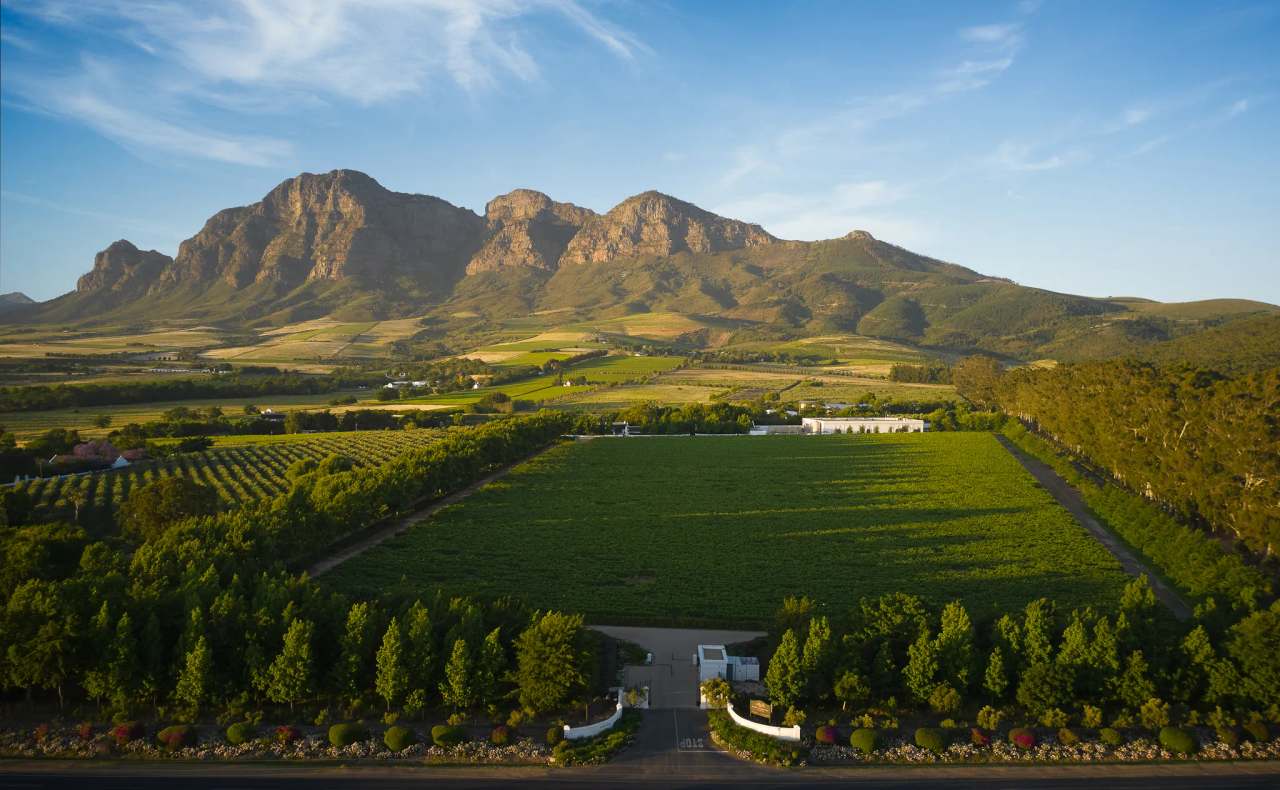 Rupert & Rothschild Vignerons — photo 1