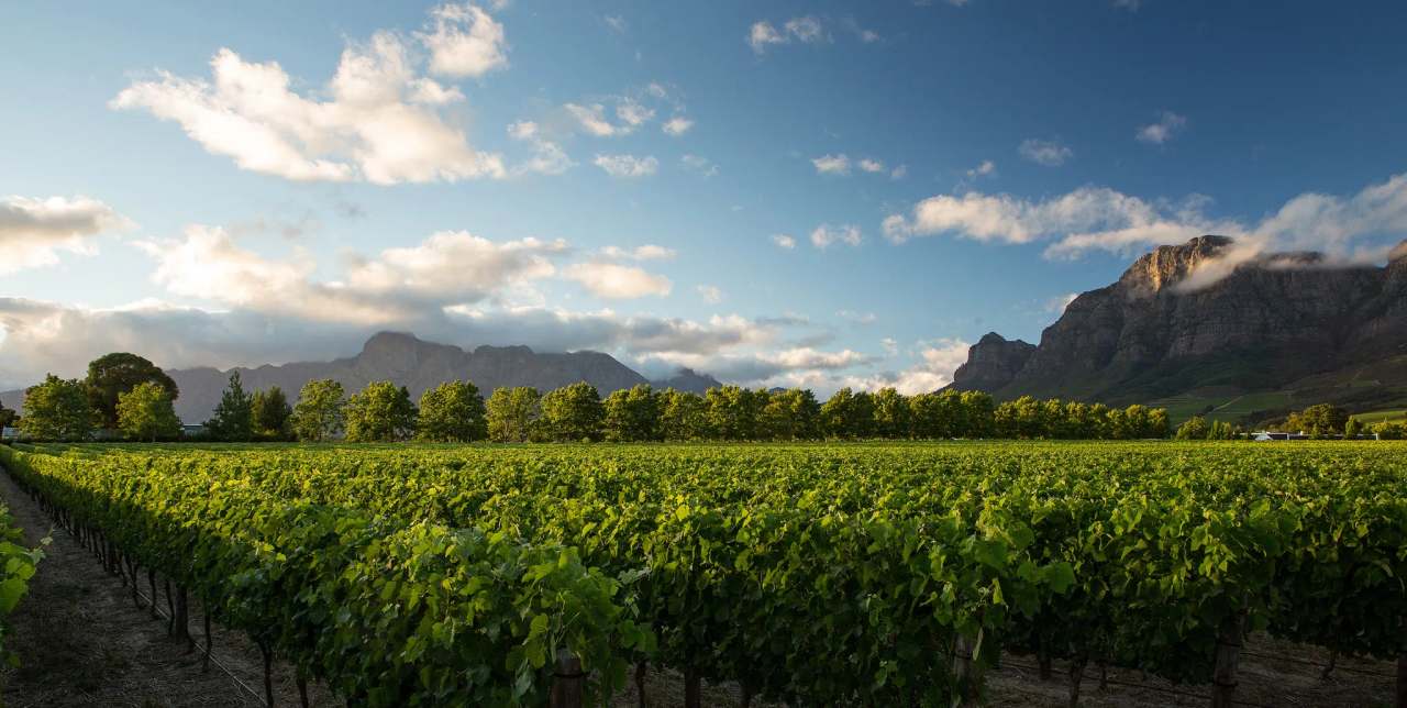 Rupert & Rothschild Vignerons — photo 2