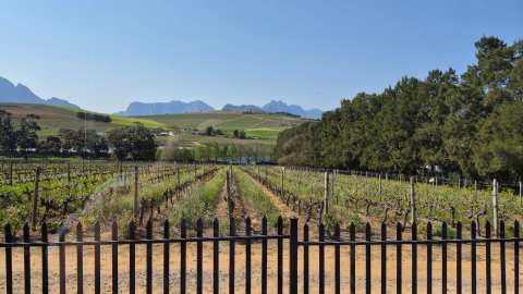 Clos Malverne Wine Estate & Restaurant — photo 3