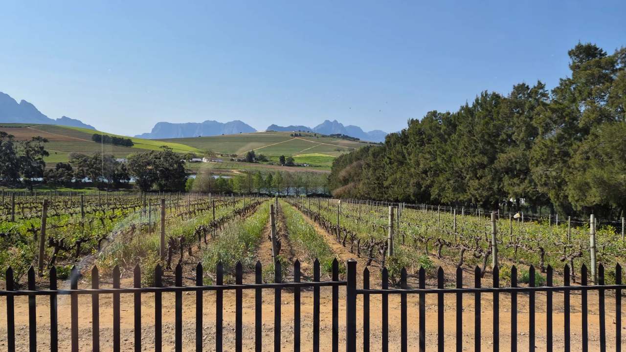 Clos Malverne Wine Estate & Restaurant — photo 3