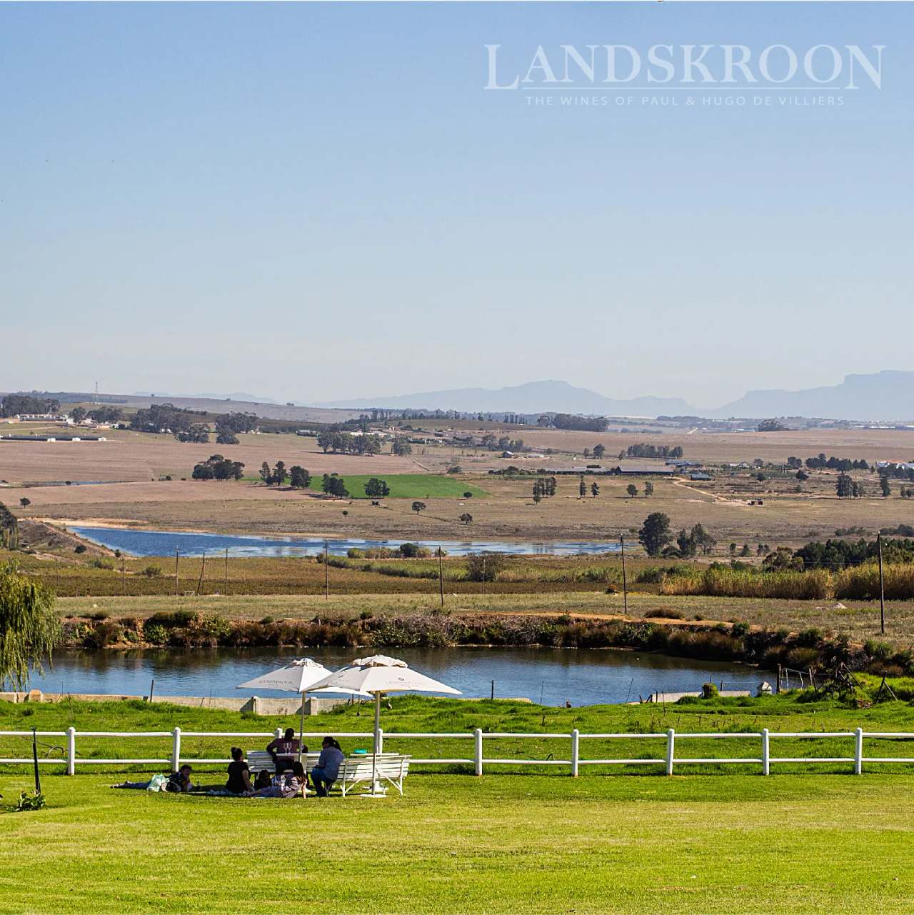 Landskroon Wines — photo 3