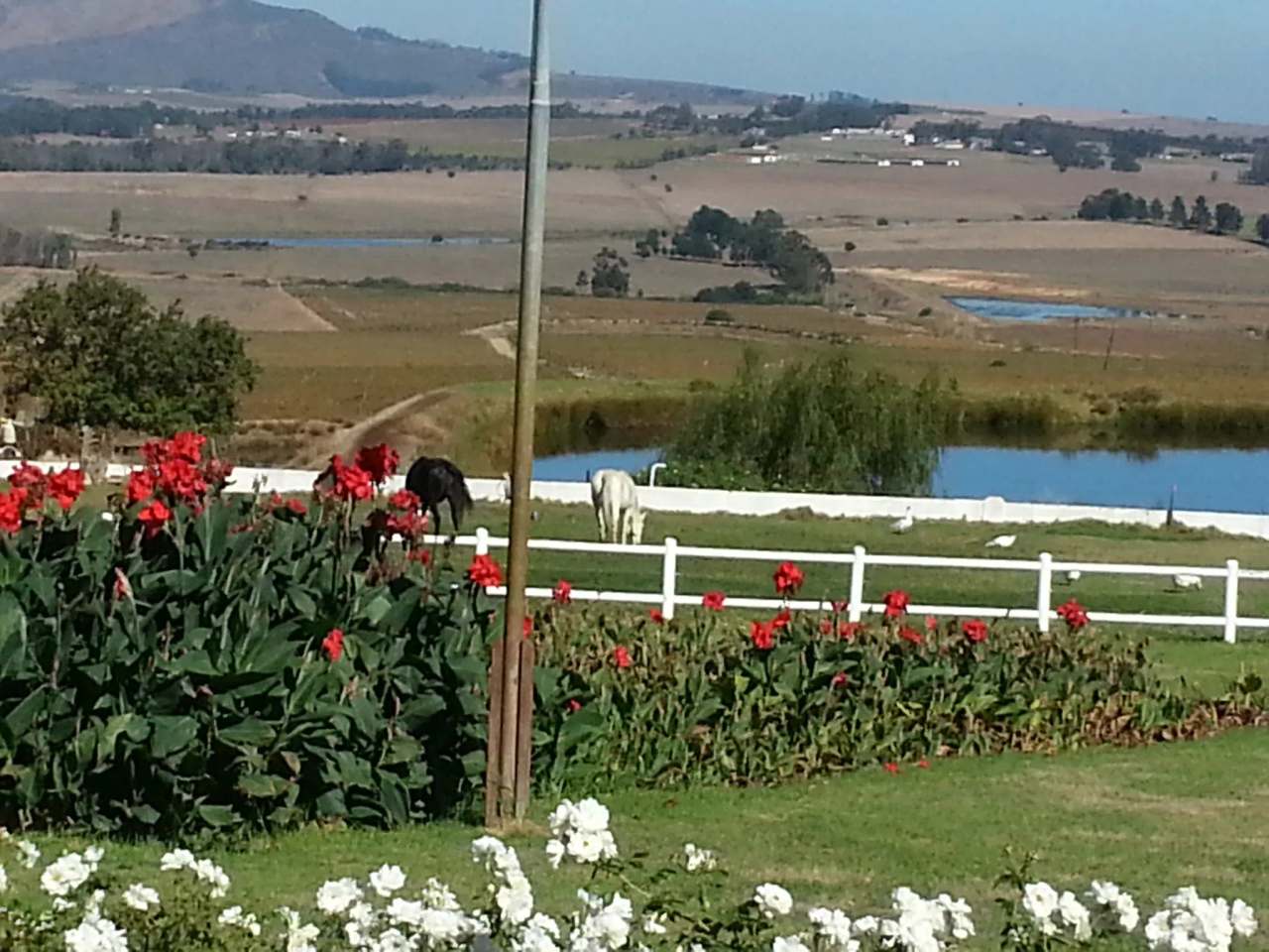 Landskroon Wines — photo 1