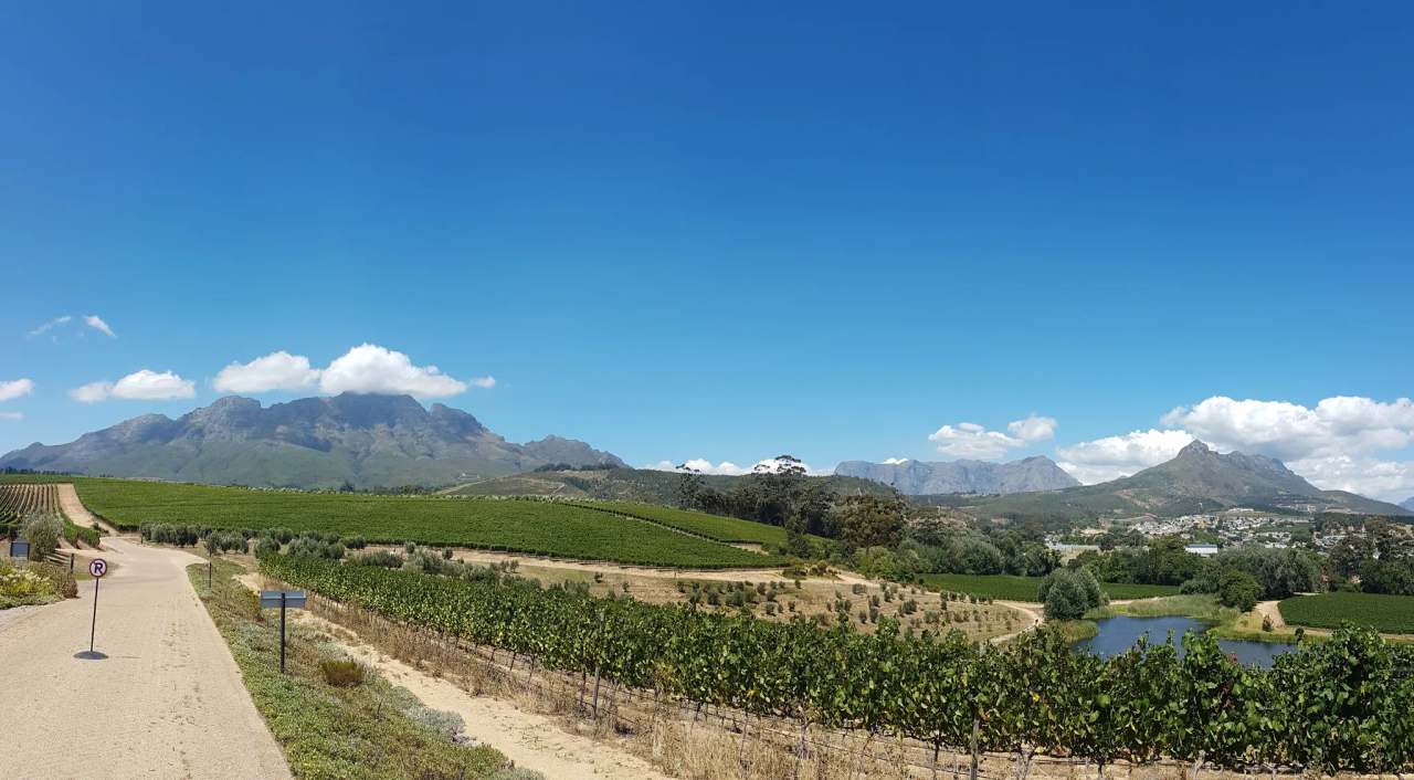 Glenelly Estate — photo 3