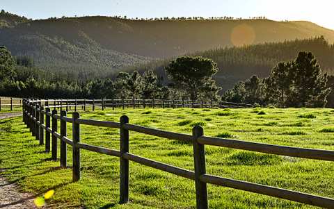 Kay & Monty Vineyards — photo 3