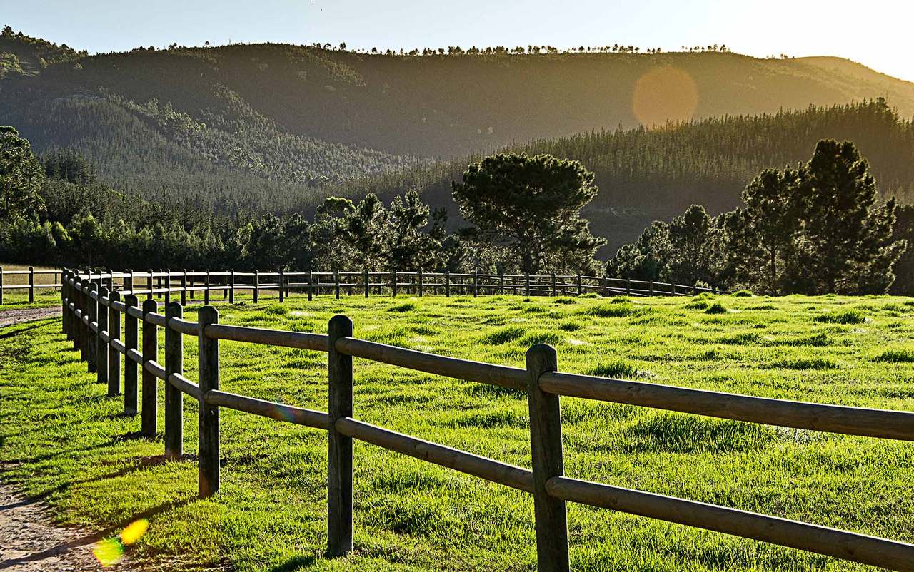 Kay & Monty Vineyards — photo 3