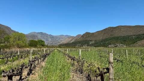 GlenWood Vineyards — photo 2