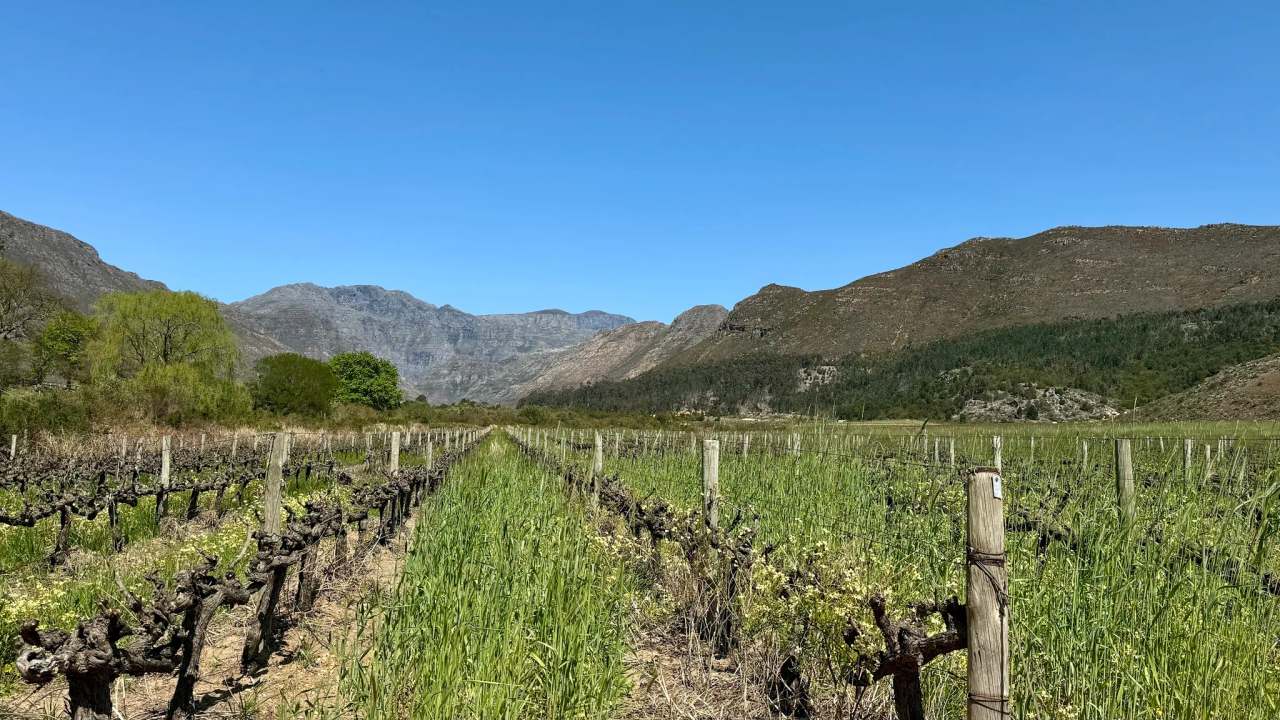 GlenWood Vineyards — photo 2