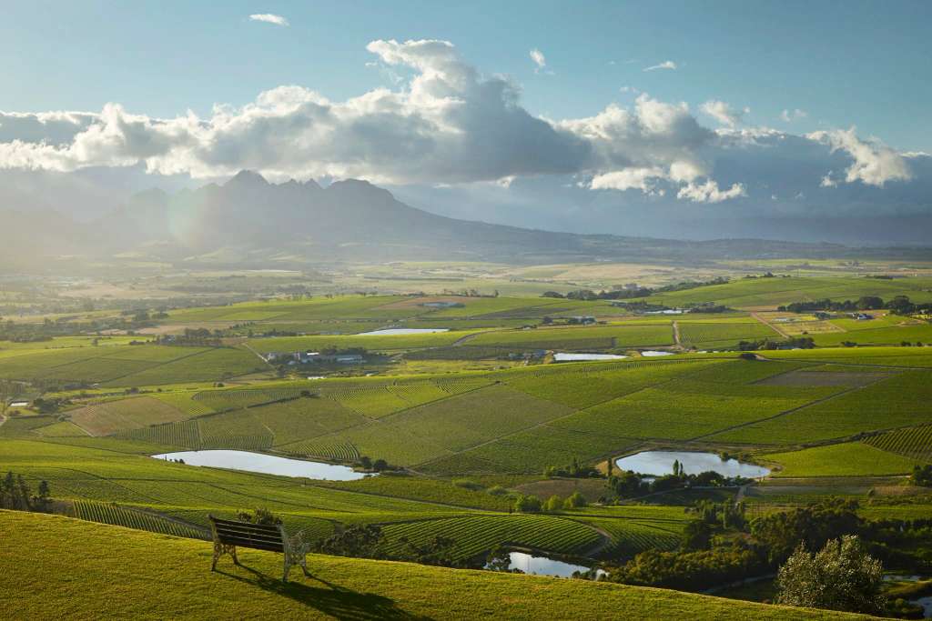 DeMorgenzon Stellenbosch