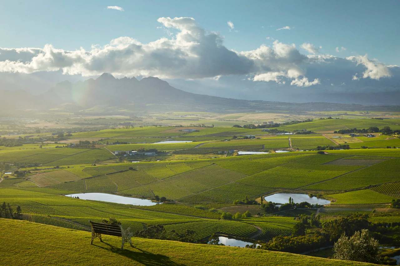 DeMorgenzon Stellenbosch — photo 1