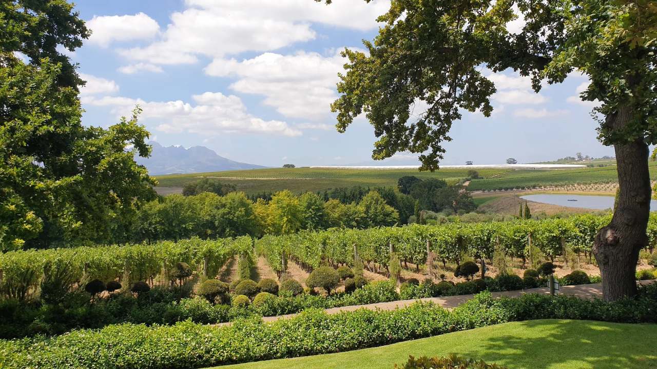 DeMorgenzon Stellenbosch — photo 3