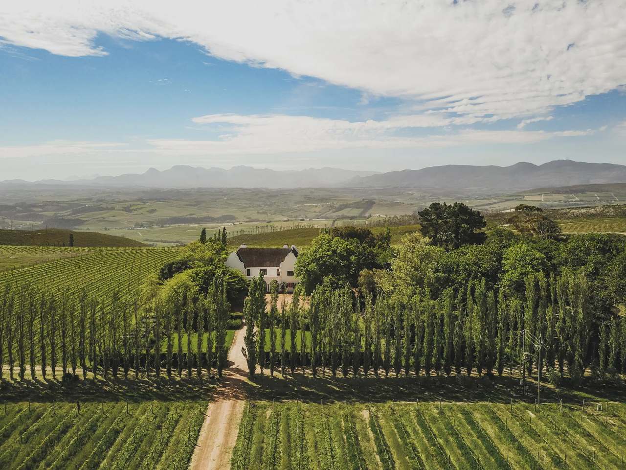 Iona Wines — photo 2