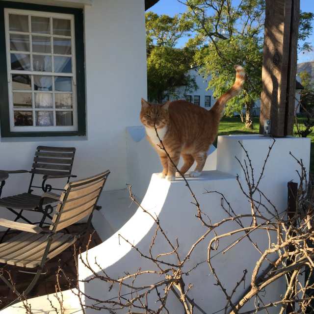 Jacaranda Wine & Guest Farm